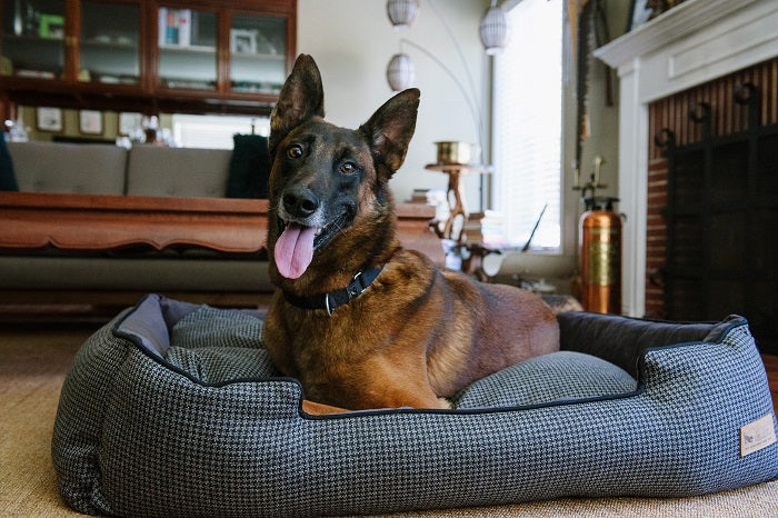 Houndstooth Lounge Bed - Image 8