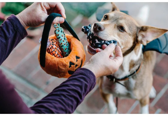 Howl-o-ween Treat Basket - Image 6