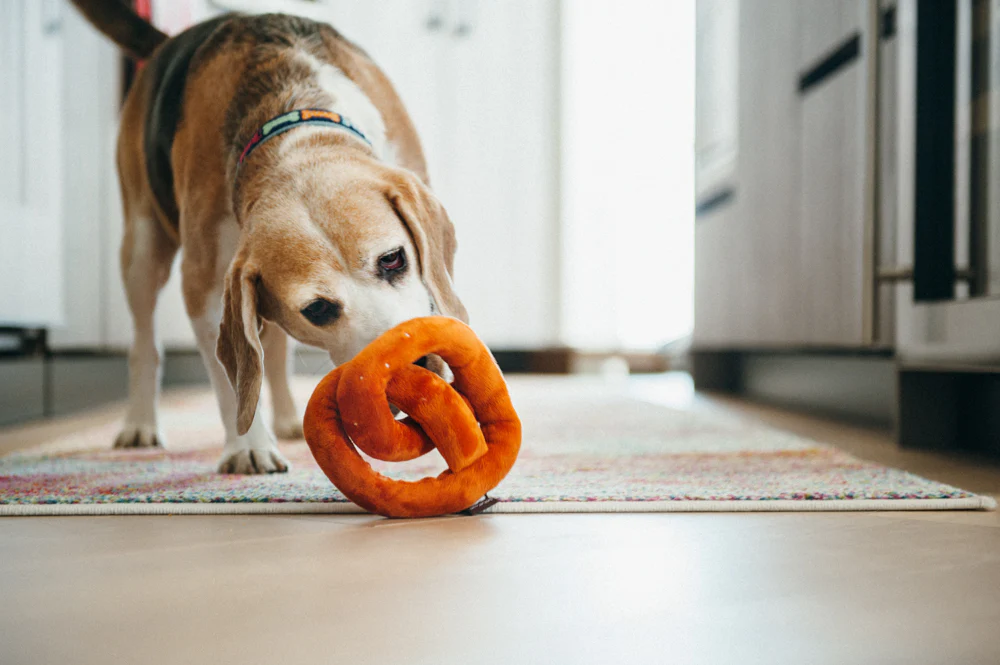 International Classic Poochie Pretzel - Image 3