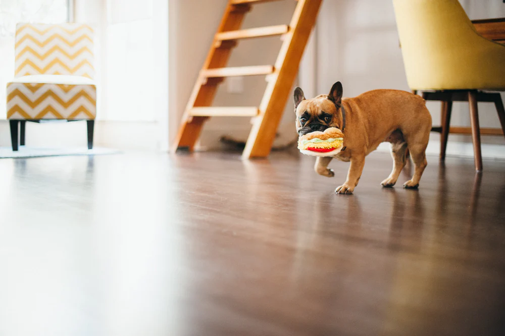 International Classic Tail Waggin' Taco - Image 3
