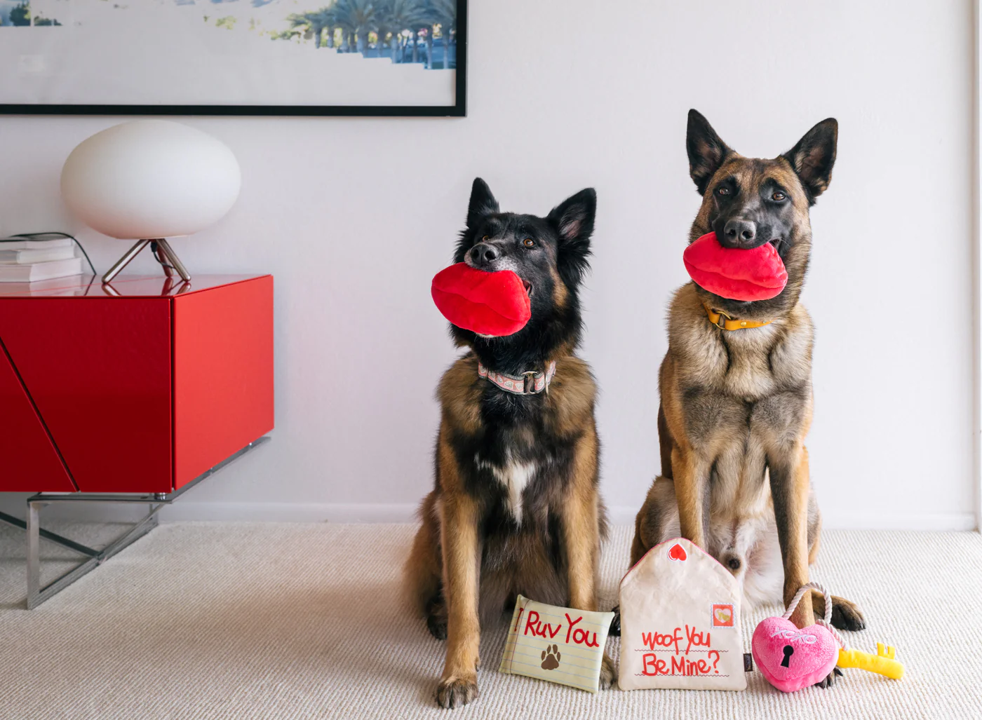 Love Bug Smoochy Poochy - Image 3
