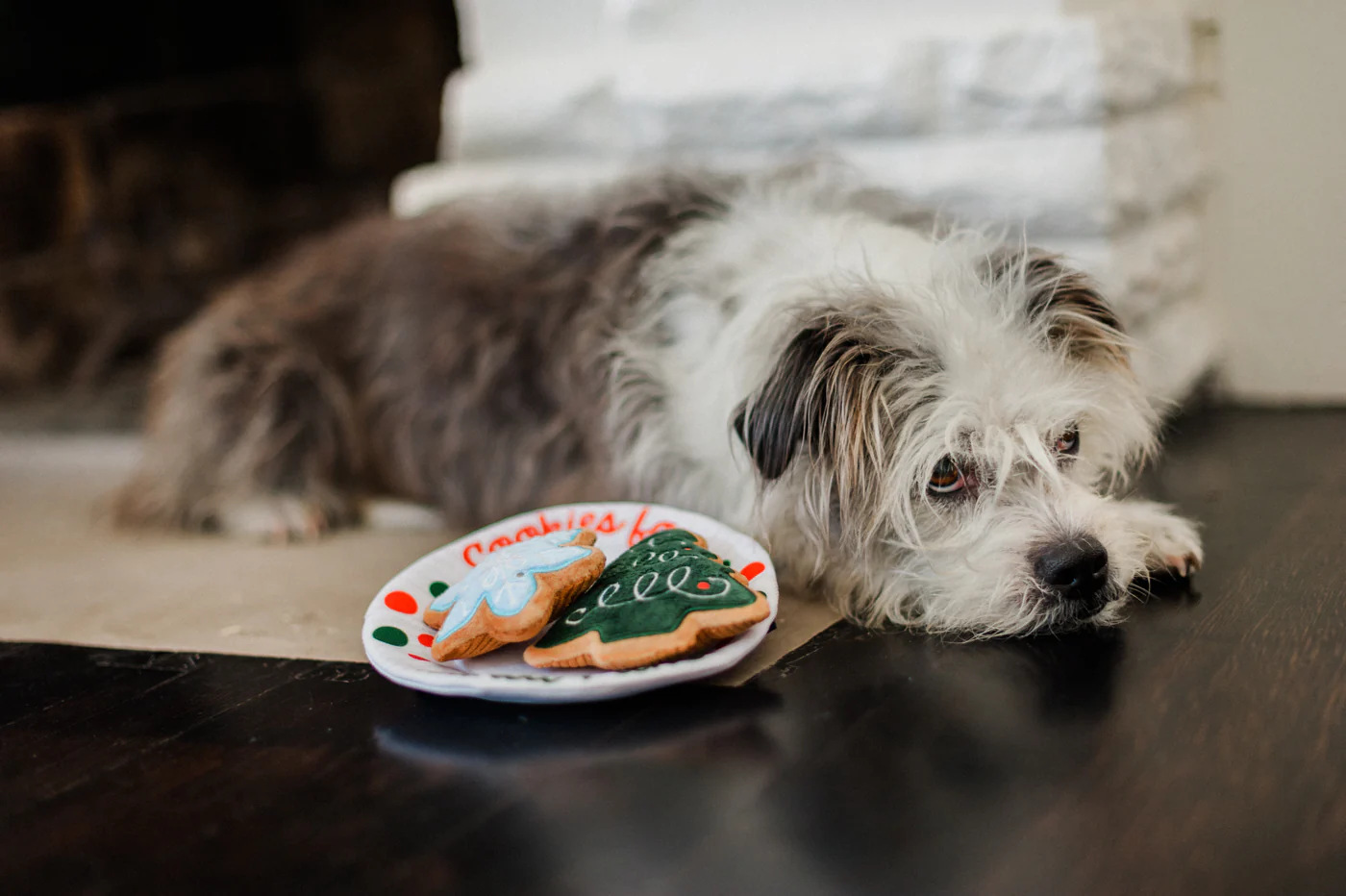Merry Woofmas Christmas Eve Cookies - Image 5