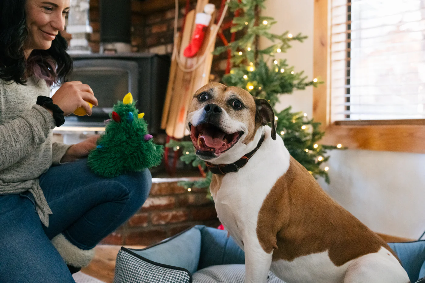 Merry Woofmas Doglas Fur - Image 2