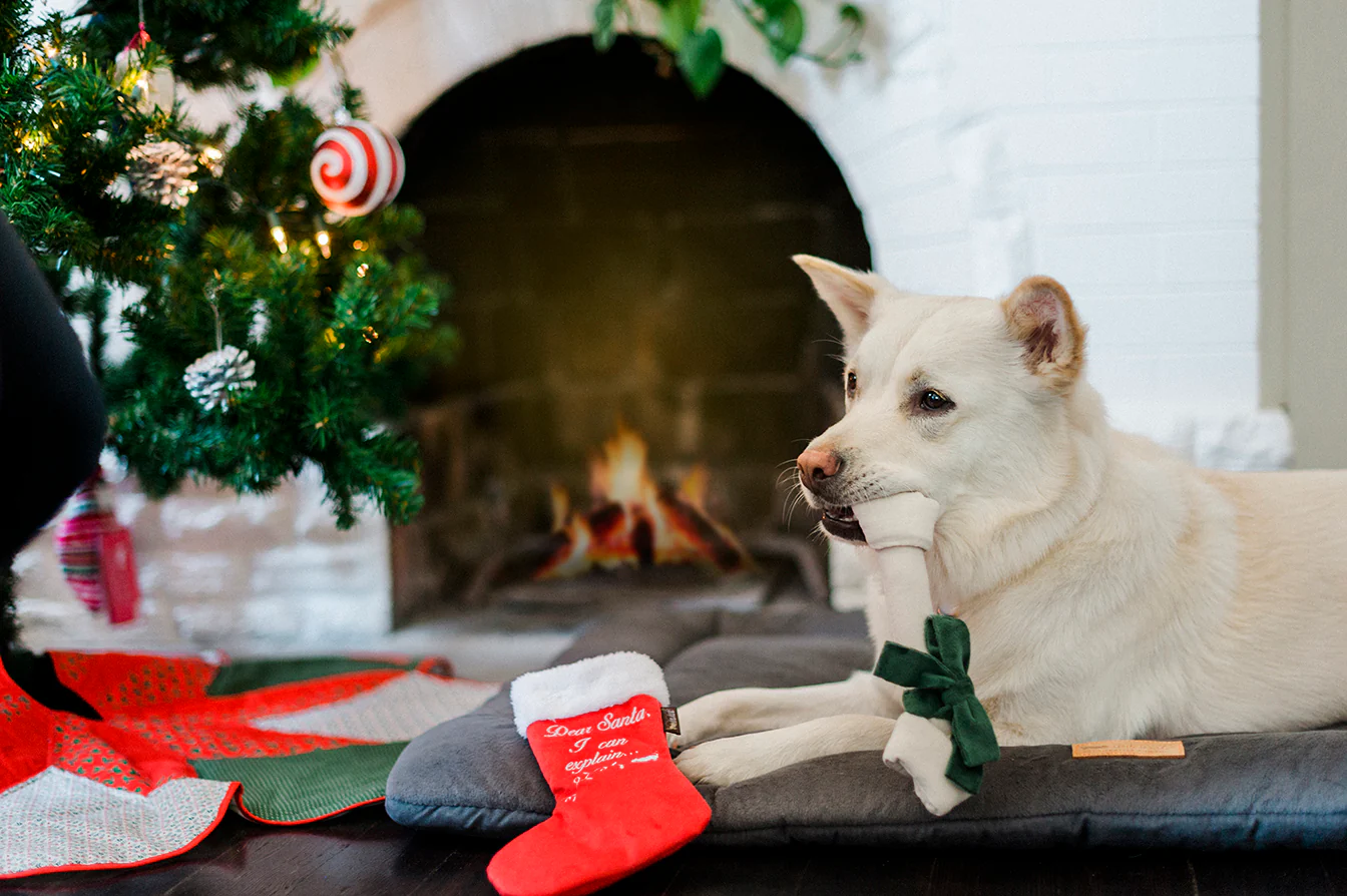 Merry Woofmas Collection - Image 17