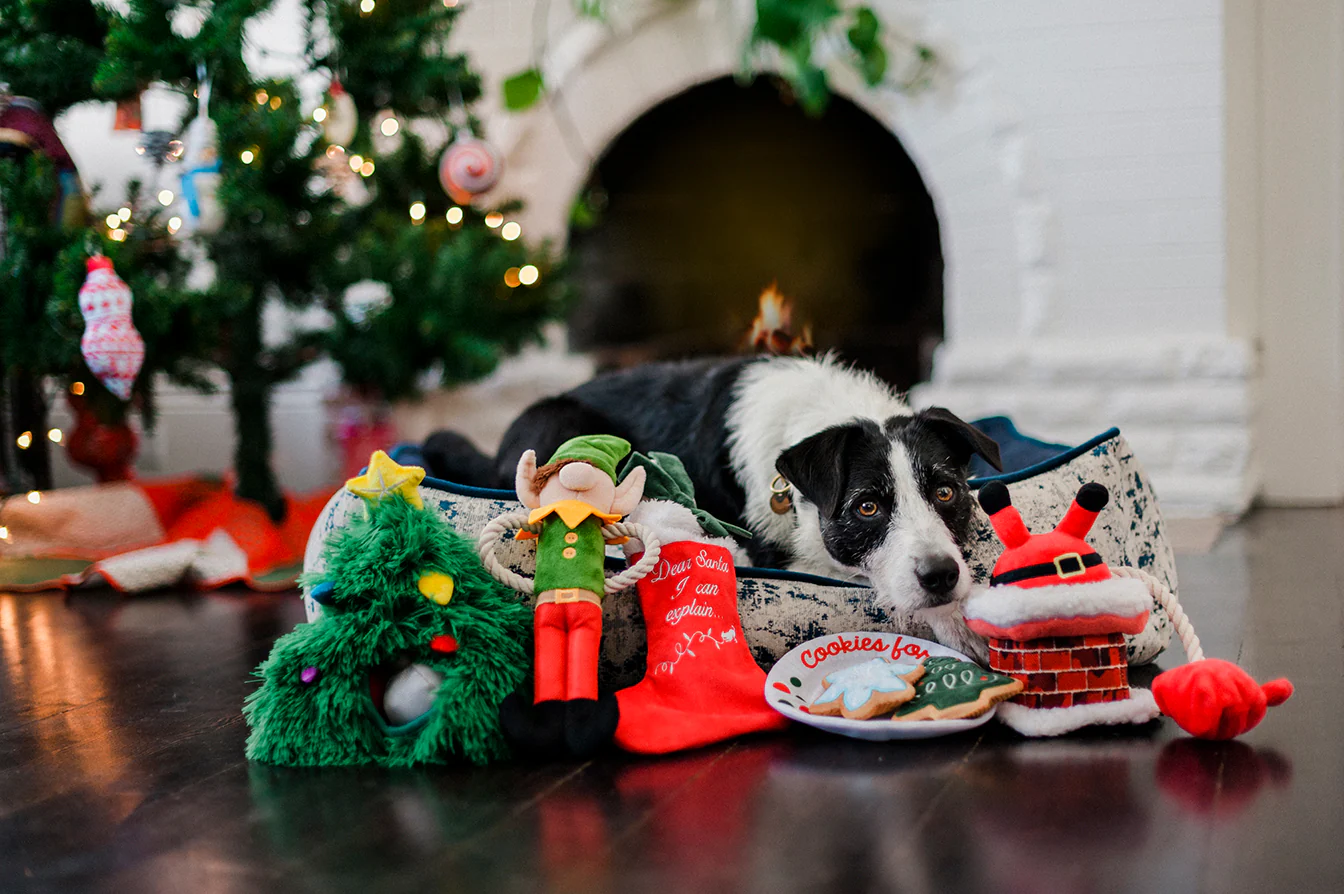 Merry Woofmas Collection - Image 2