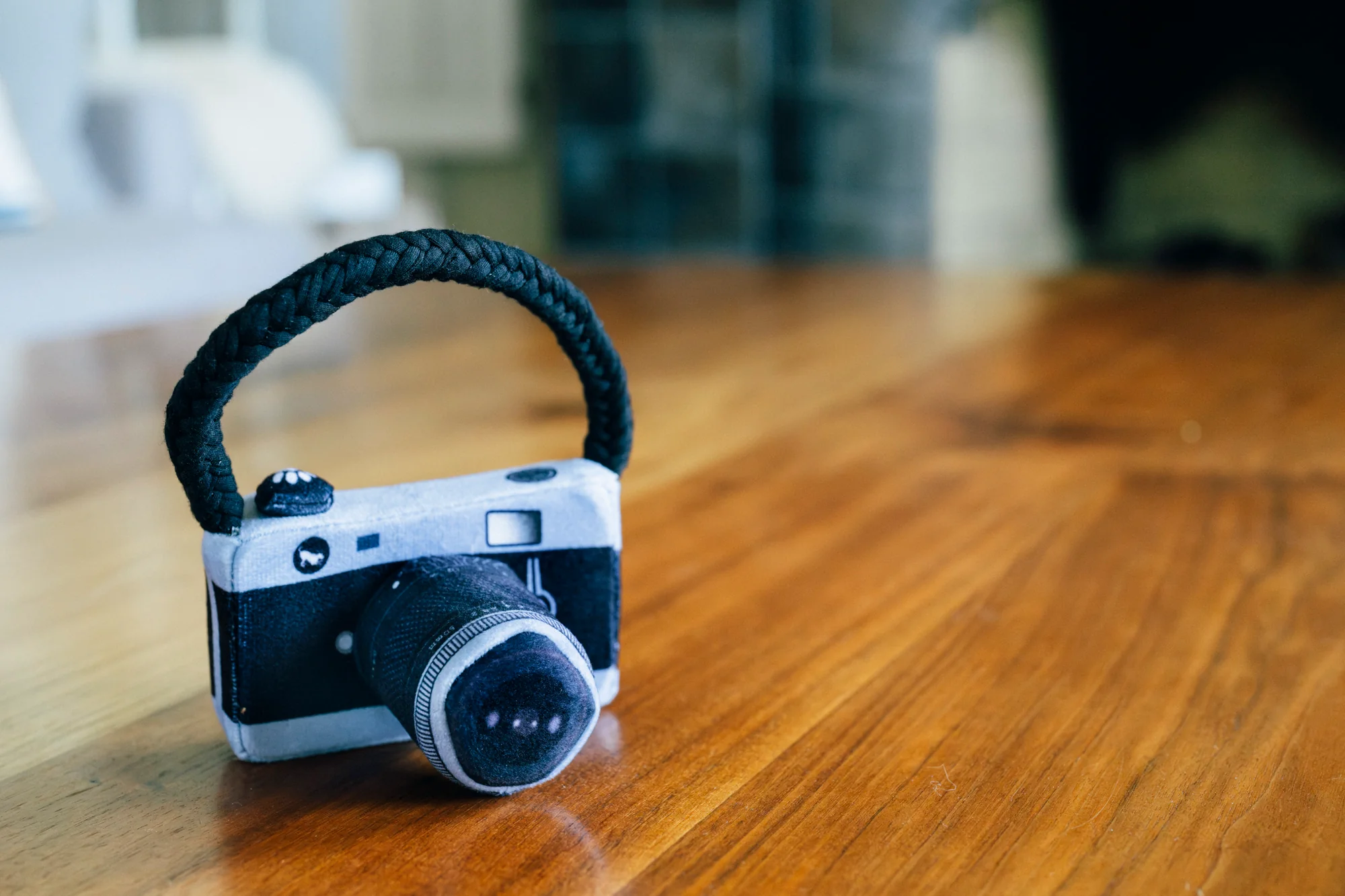 Mini Globetrotter Lens Licker Camera - Image 3