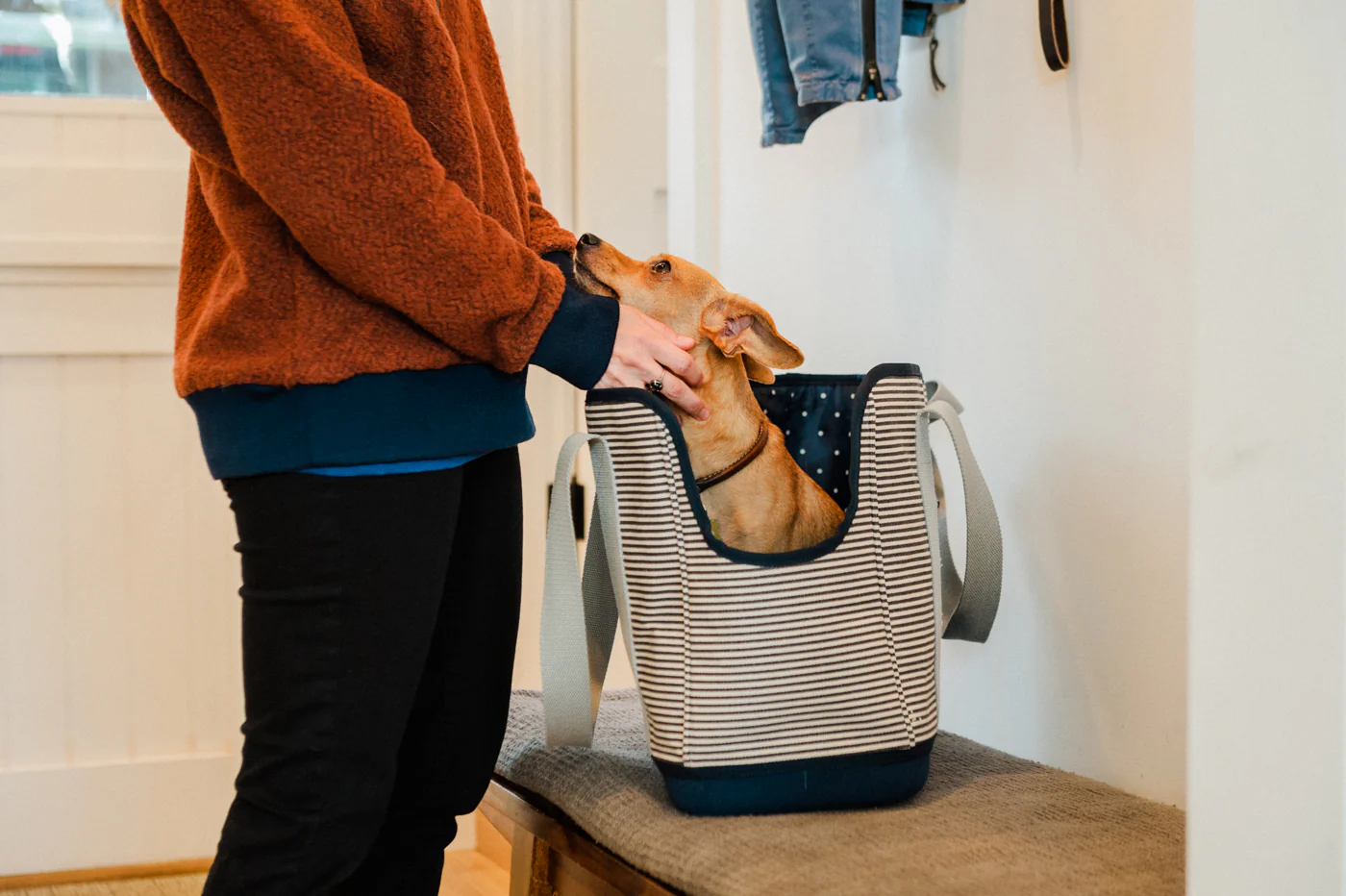 LeftPine x P.L.A.Y. Navy Striped Dog Carrier - Image 3