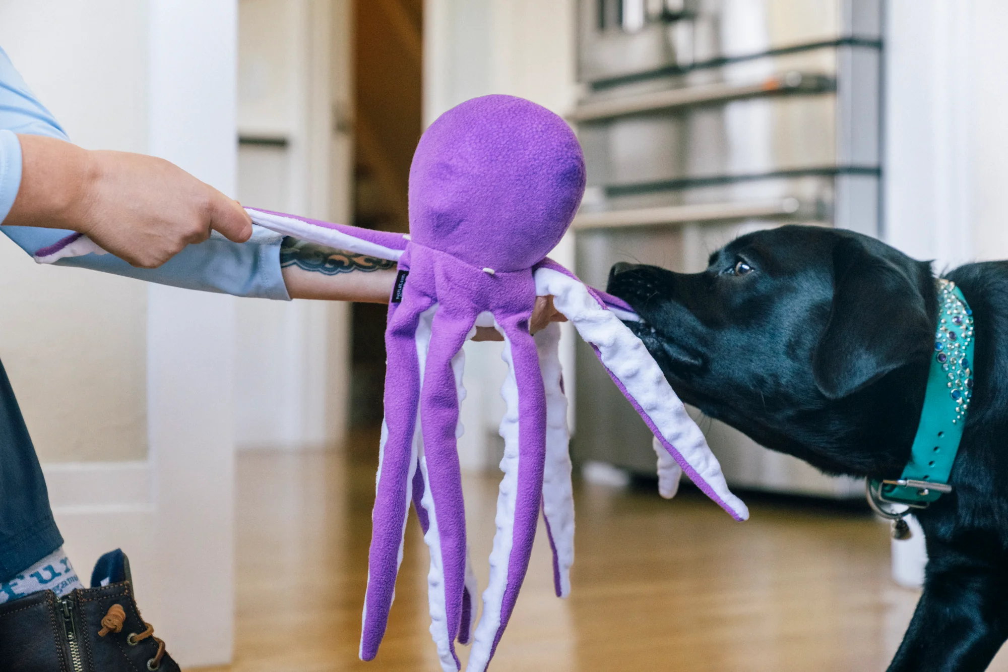 Ocean Buddies Opal the Octopus - Image 3