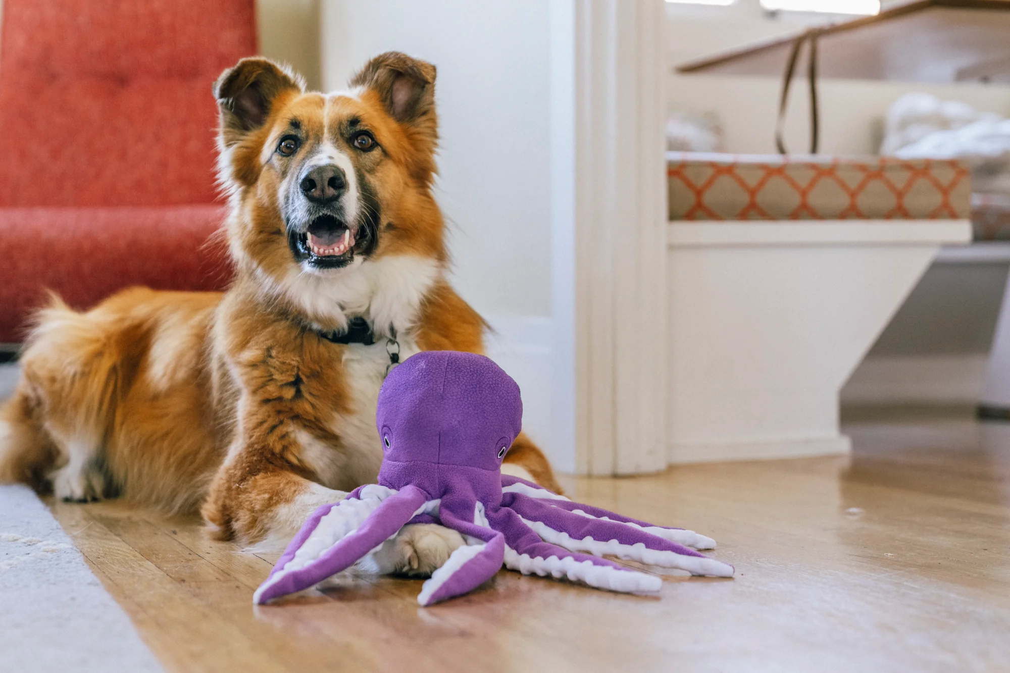 Ocean Buddies Opal the Octopus - Image 5