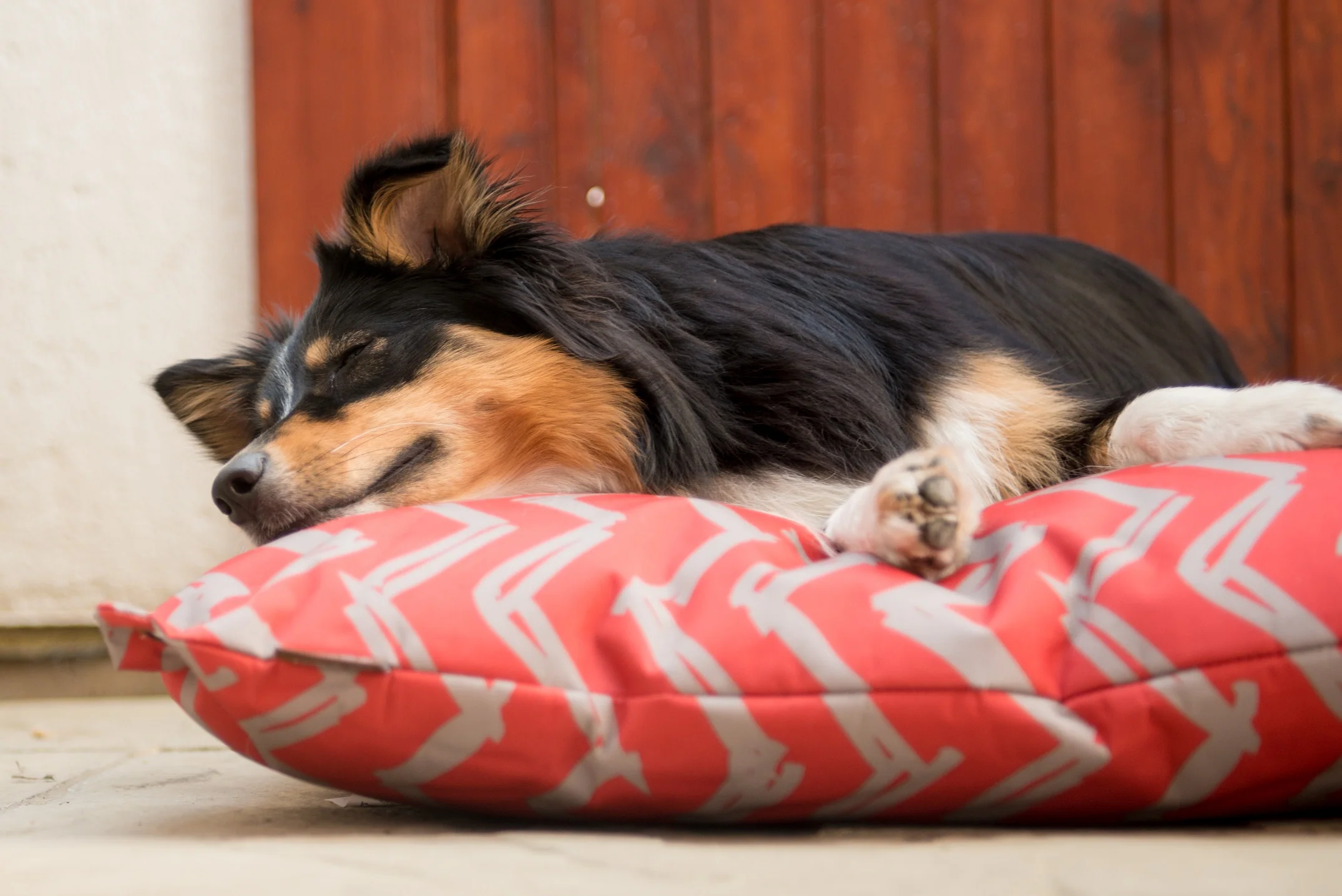 Outdoor Bed - Image 3
