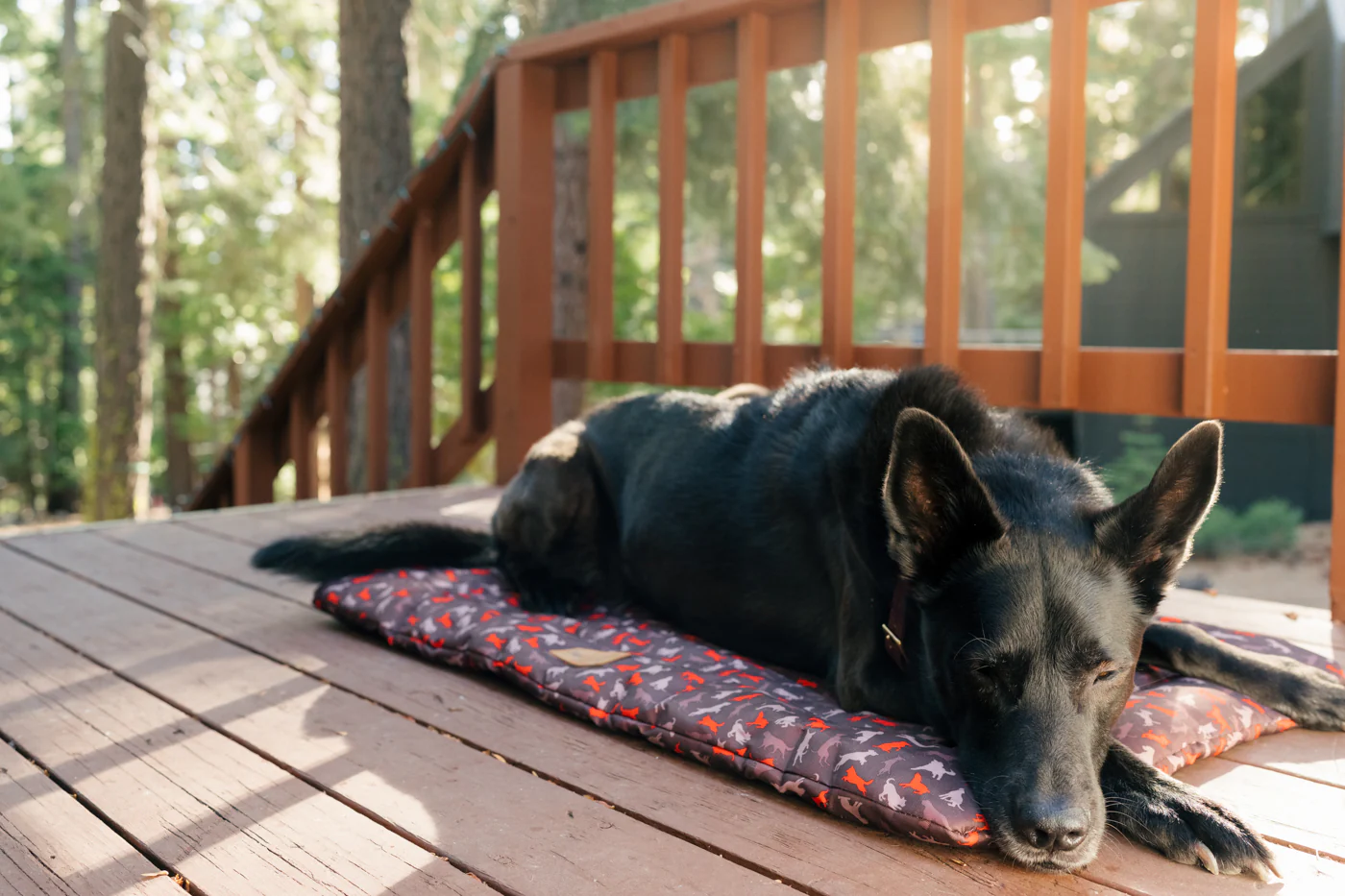 Outdoor Chill Pad - Image 4