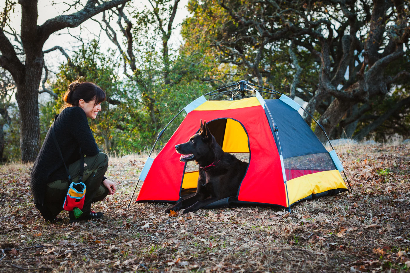 Outdoor Dog Tent - Image 12