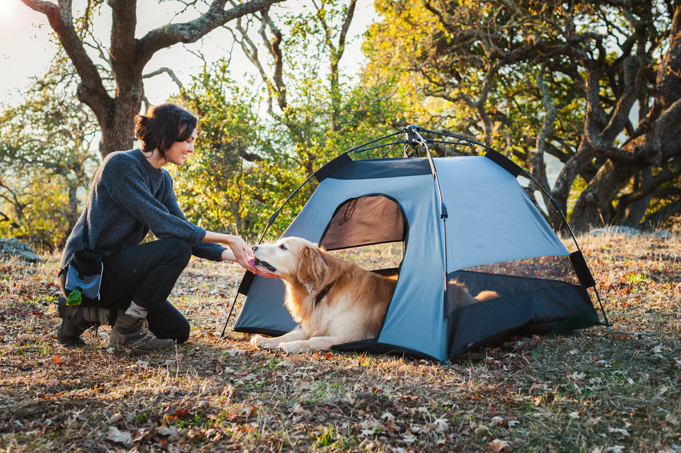 Outdoor Dog Tent - Image 22