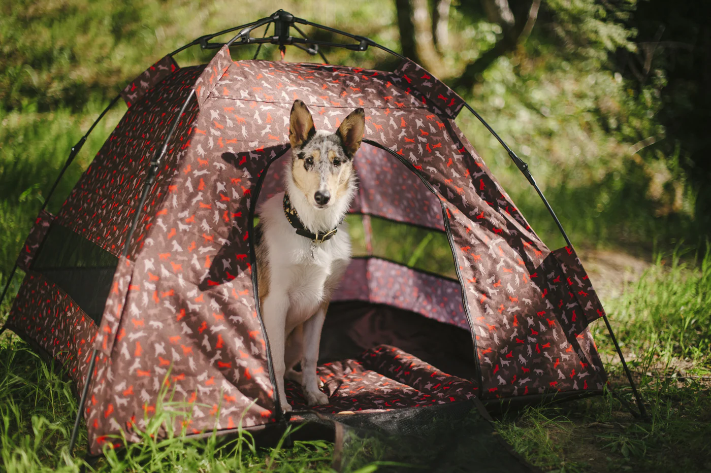 Outdoor Dog Tent - Image 7