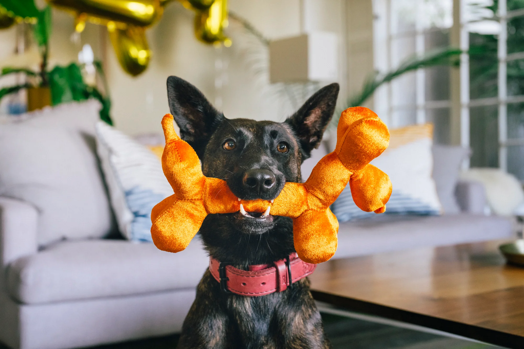 Party Animal Balloon Buddy - Image 2