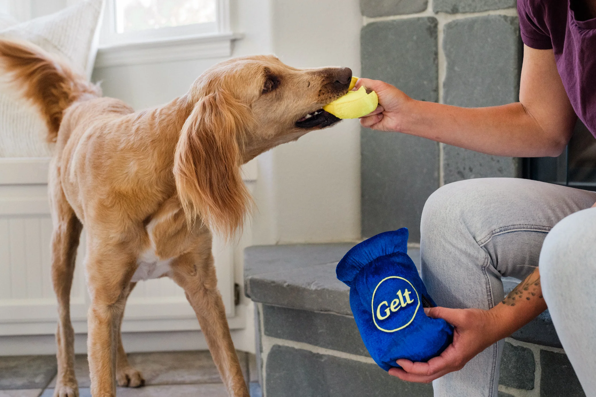 Paw-nukkah Gelt-y Treats - Image 6