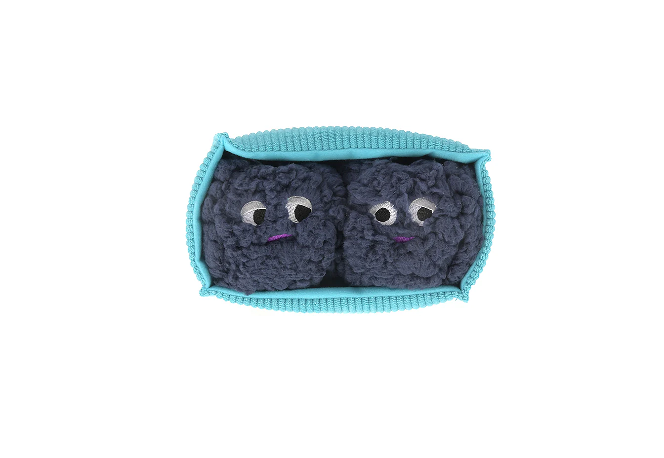 Picked Fresh Blue Beg-rries - Image 3