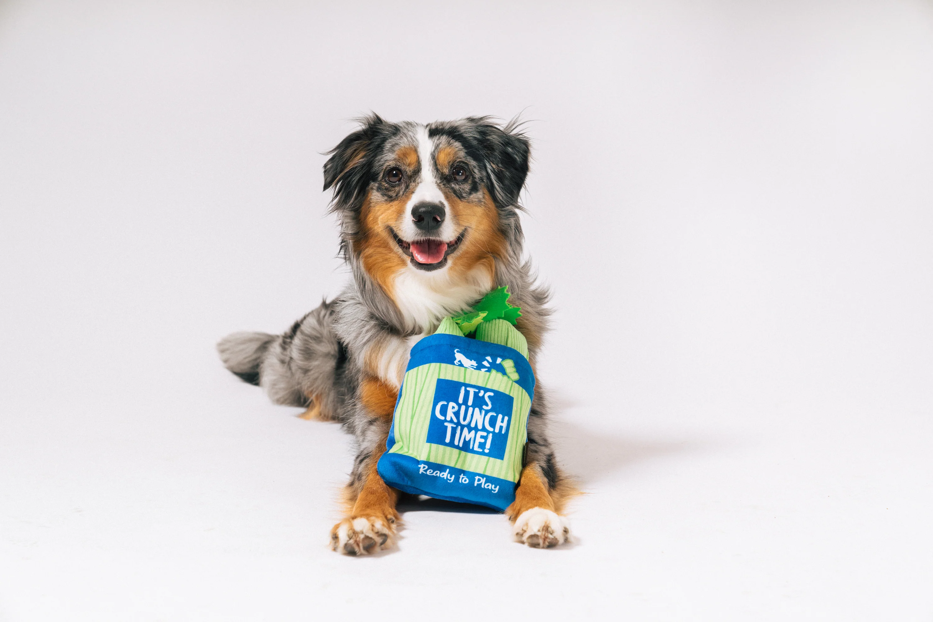Picked Fresh Crunch Bunch - Image 2