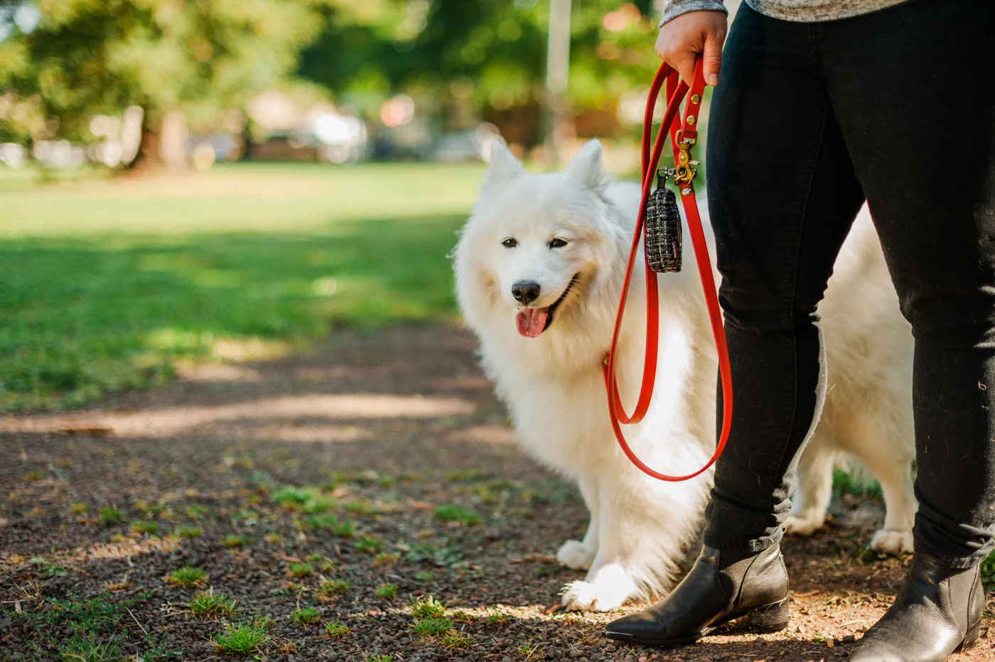 Proper Pup Poop Bag Dispenser - Image 11