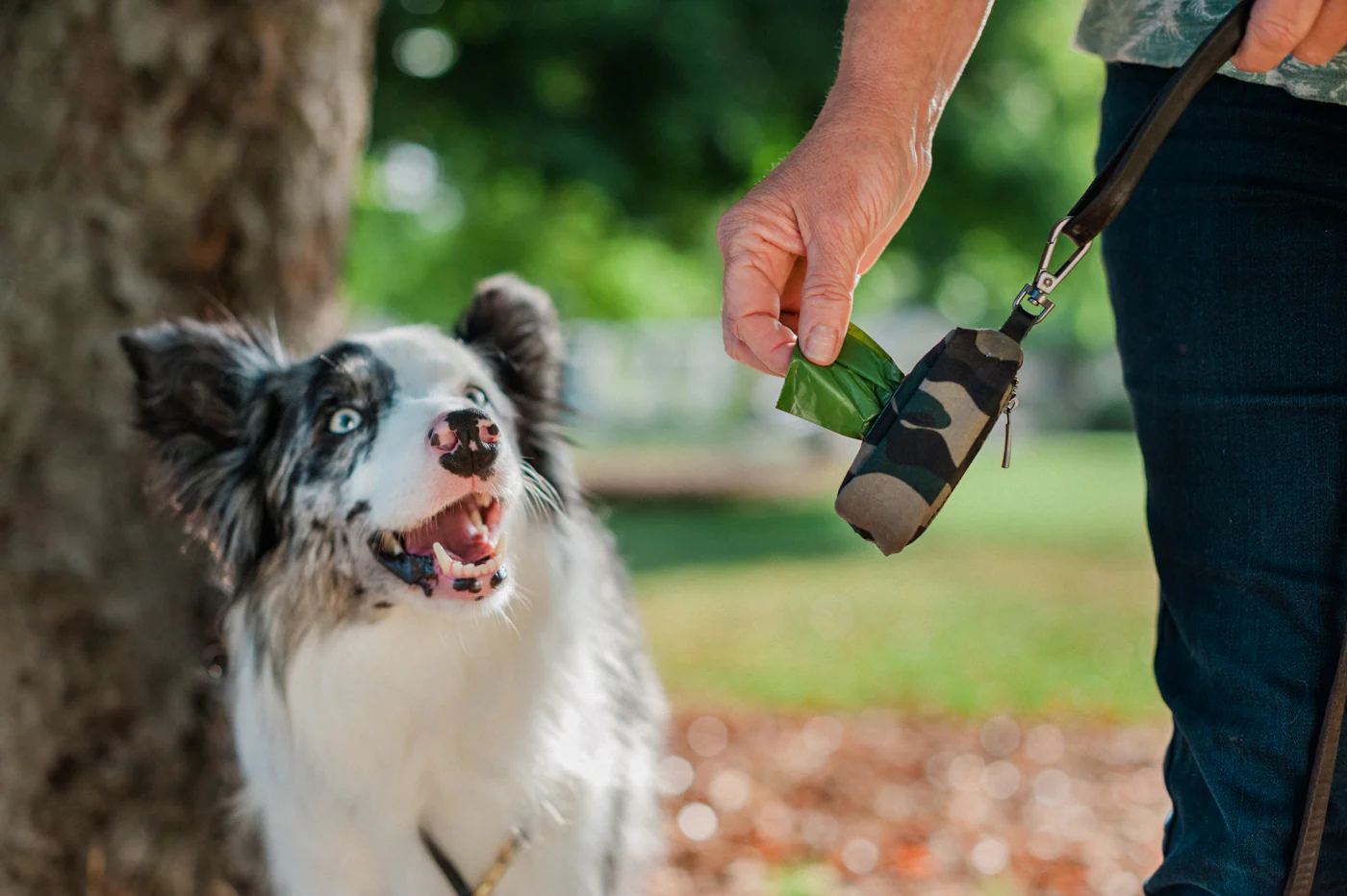 Proper Pup Poop Bag Dispenser - Image 19
