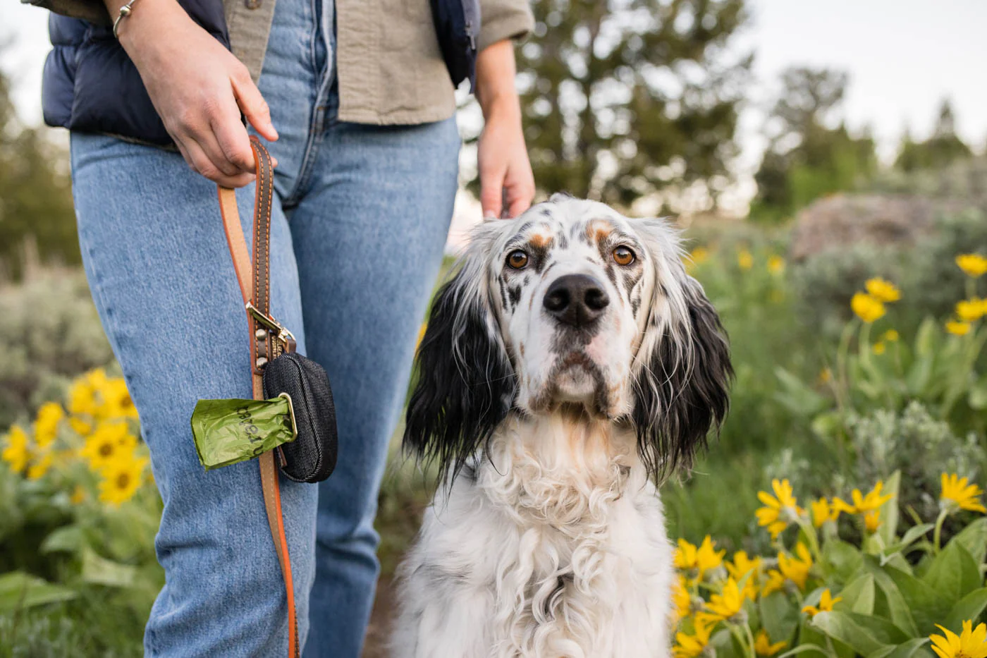 Proper Pup Poop Bag Dispenser - Image 7