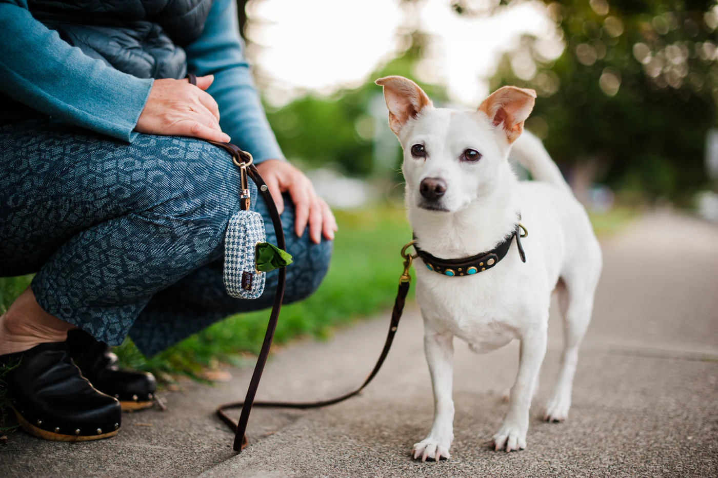 Proper Pup Poop Bag Dispenser - Image 9