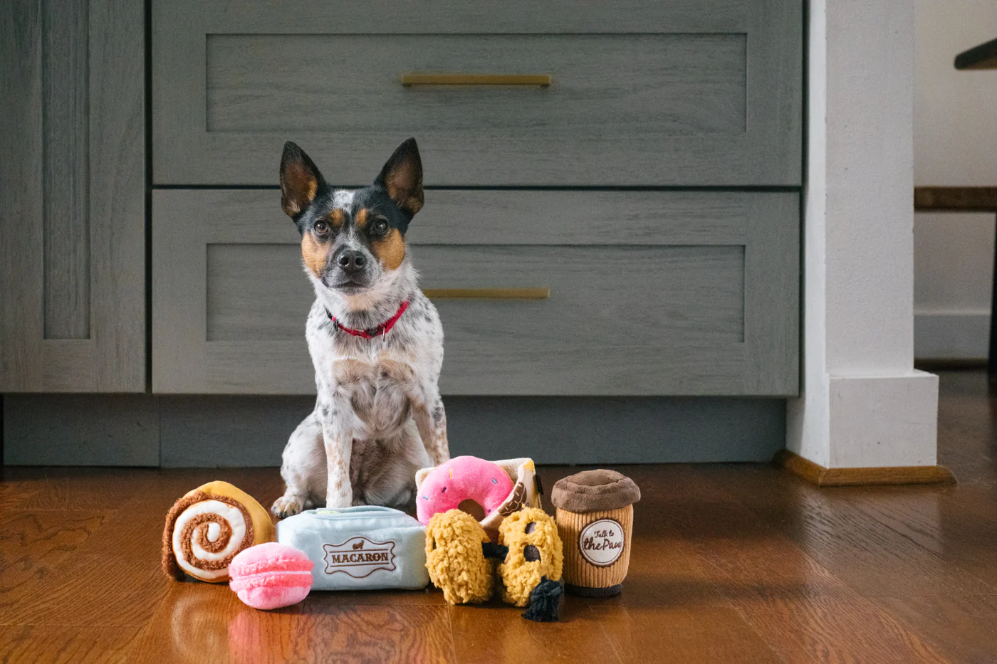 Pup Cup Cafe Collection - Image 2