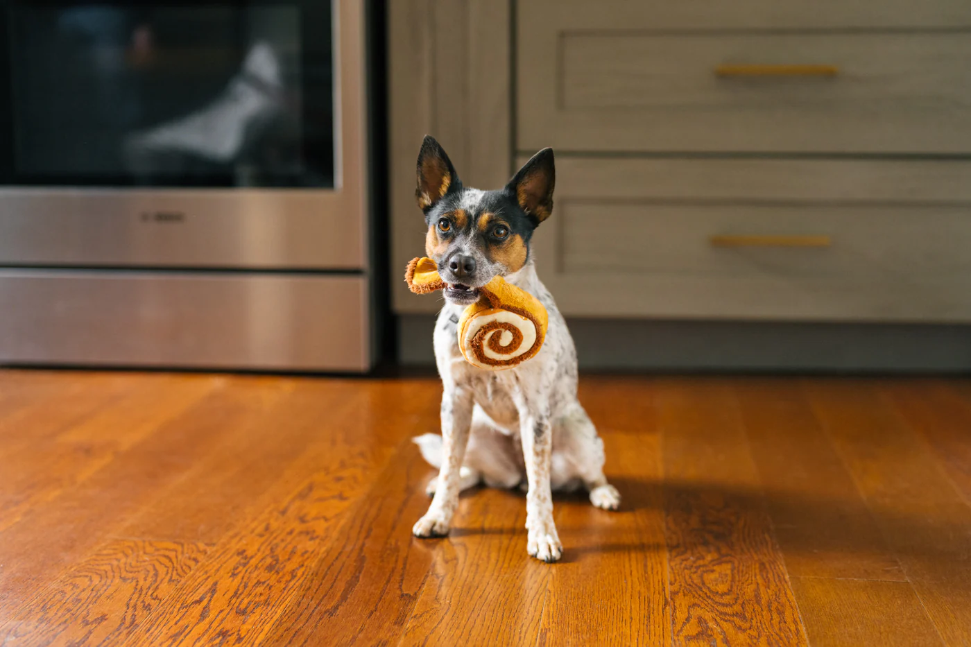 Pup Cup Cafe Collection - Image 20