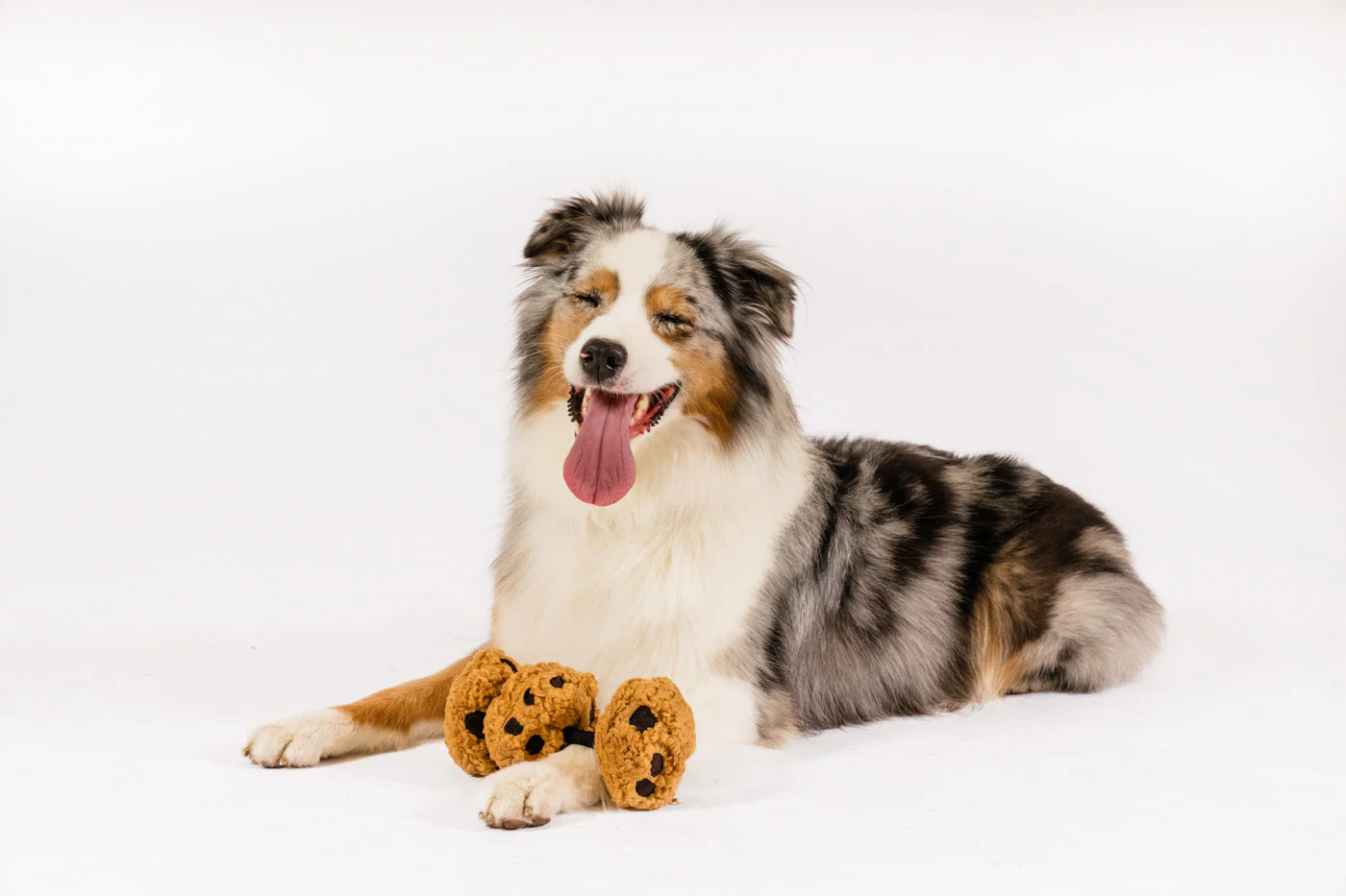 Pup Cup Cafe Cookies n’ Treats - Image 4