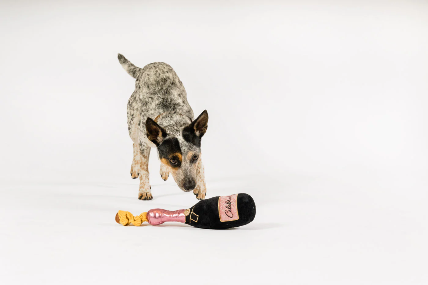 Puppin' Champagne - Image 3