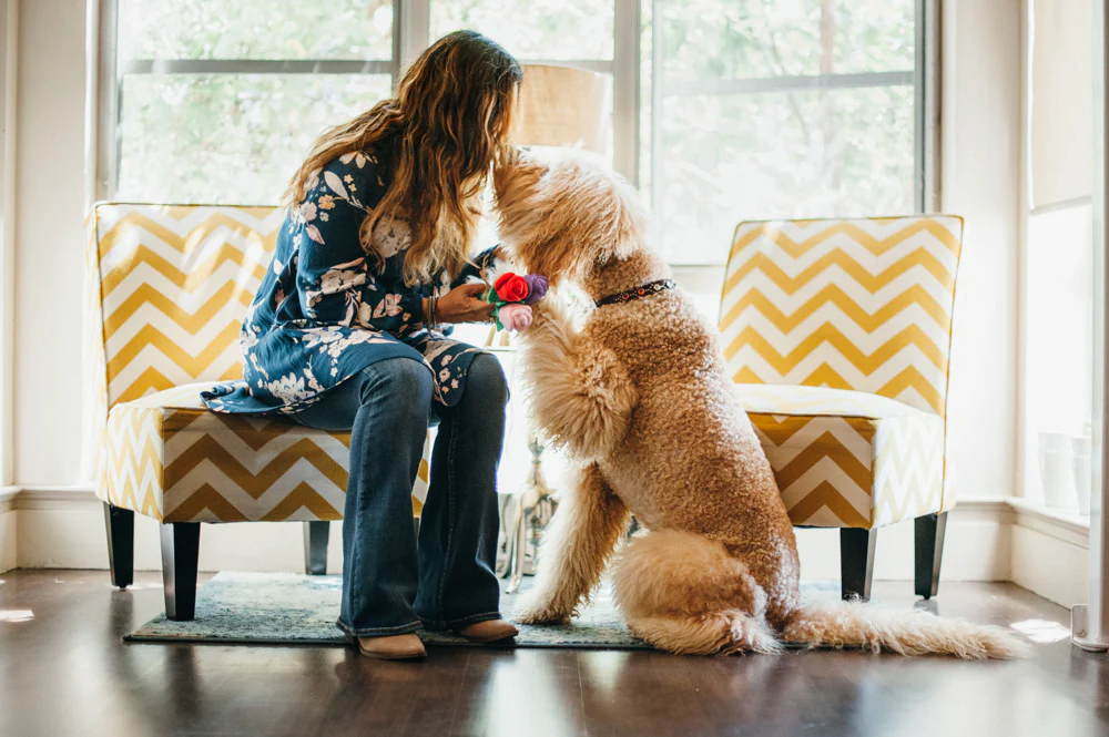 Puppy Love Collection - Image 13