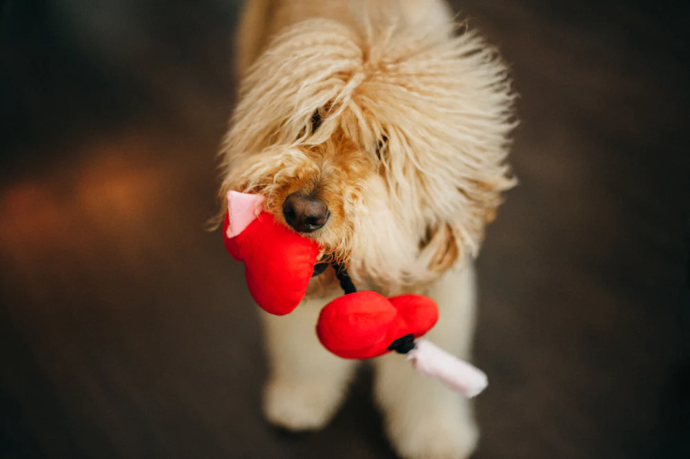 Puppy Love Fur-ever Hearts - Image 2