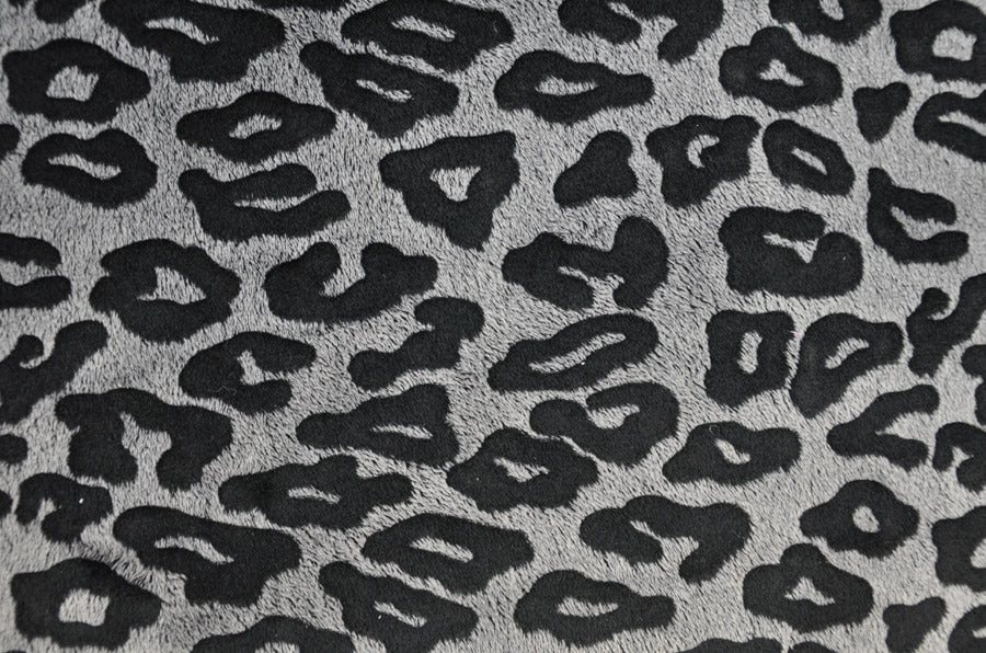 Serengeti - Image 3