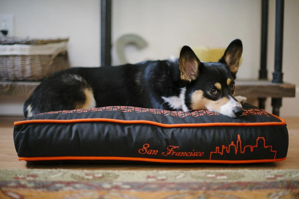 SFyline - Image 8