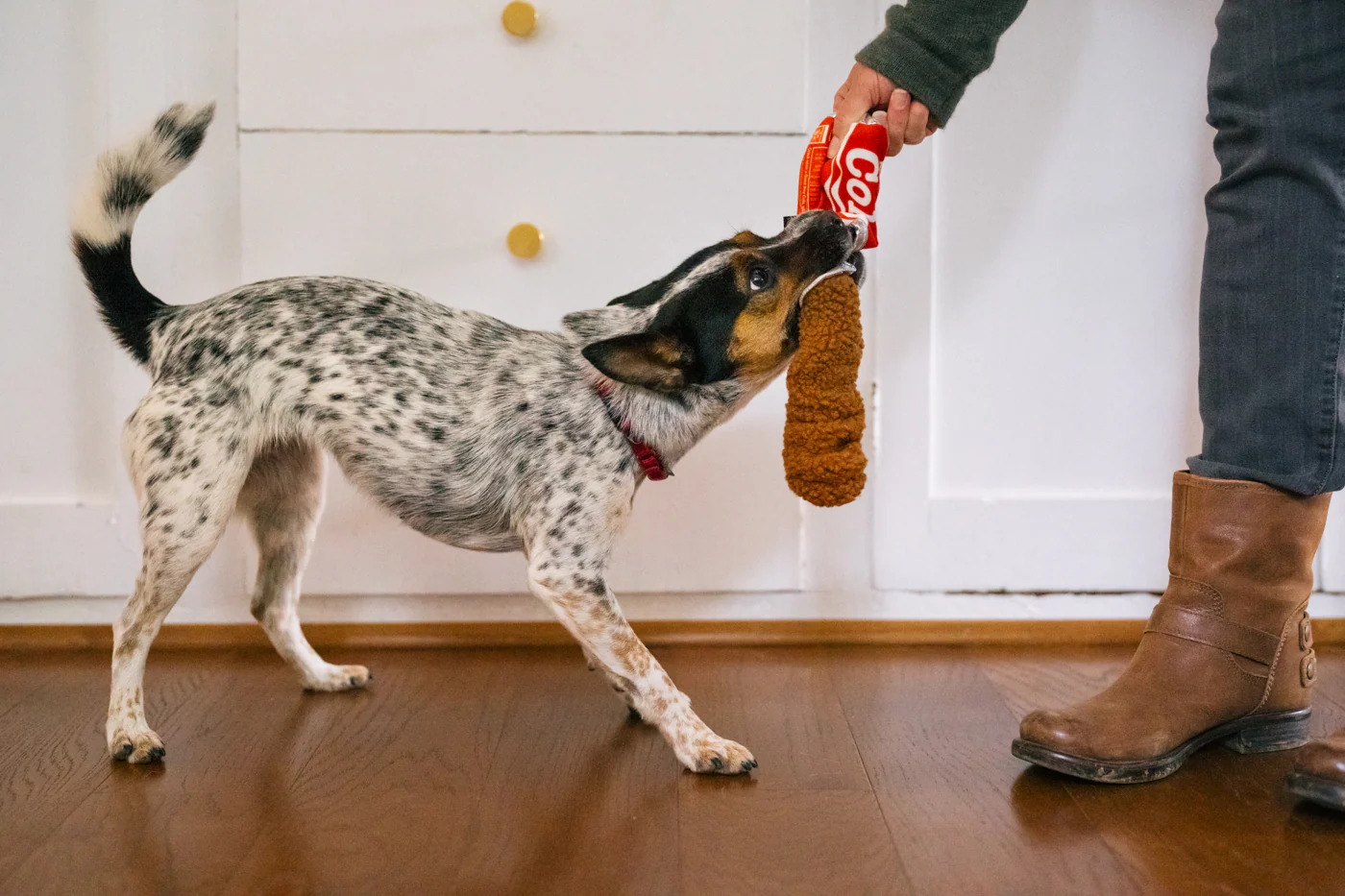 Snack Attack Collection - Image 13