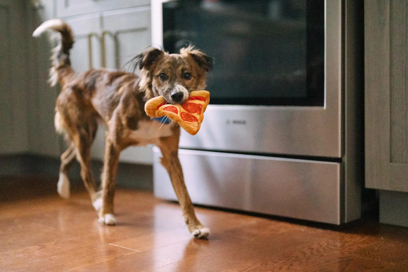 Snack Attack Puppy-roni Pizza - Image 4