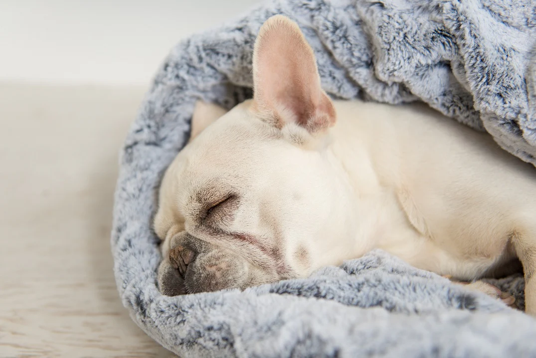 Snuggle Bed® - Image 4