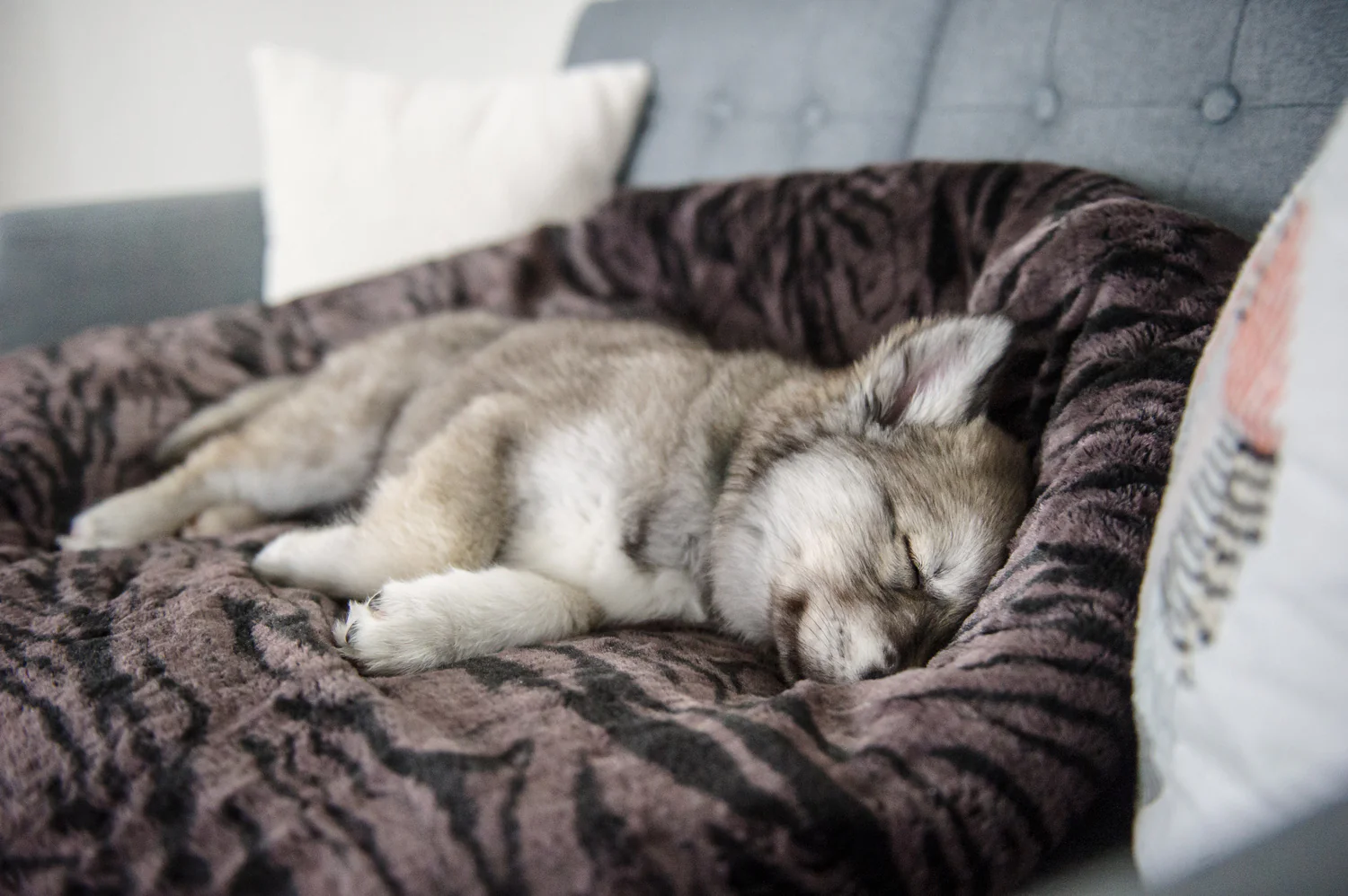 Snuggle Bed® - Image 7