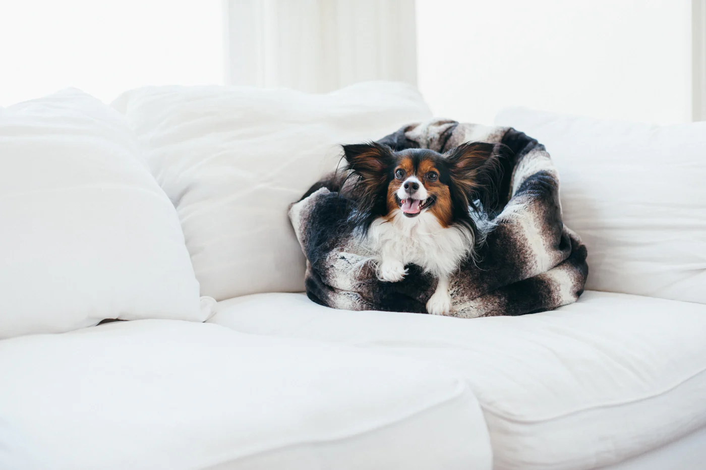 Snuggle Bed® - Image 9