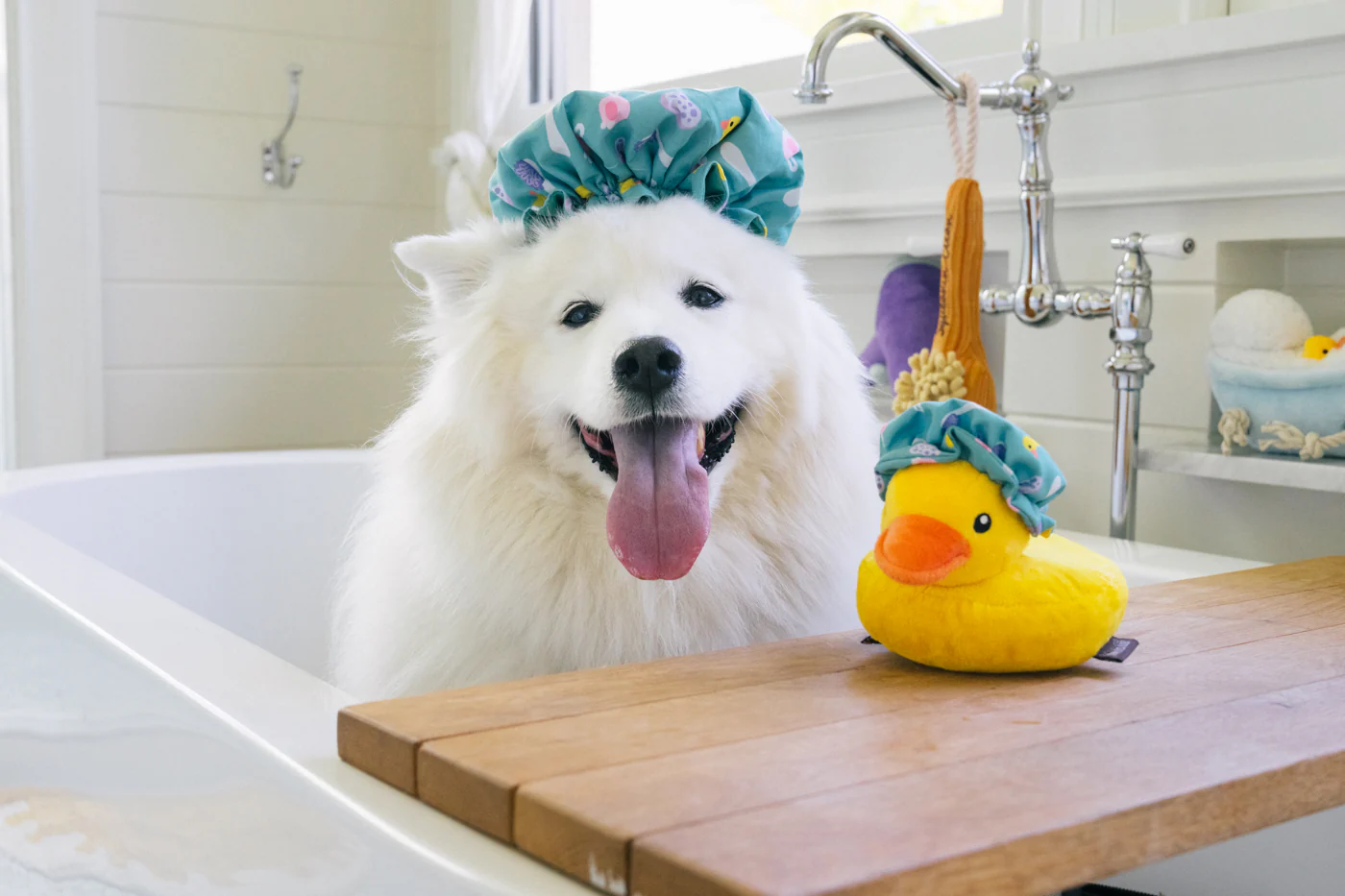 Splish Splash Shower Quack - Image 3