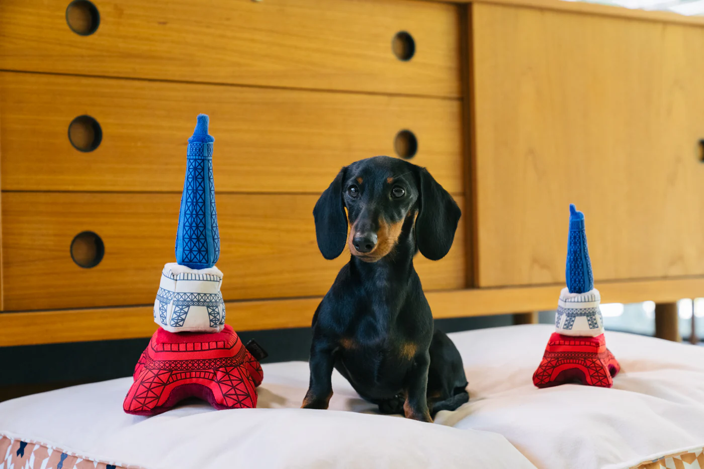 Totally Touristy Eiffel Tower - Image 6