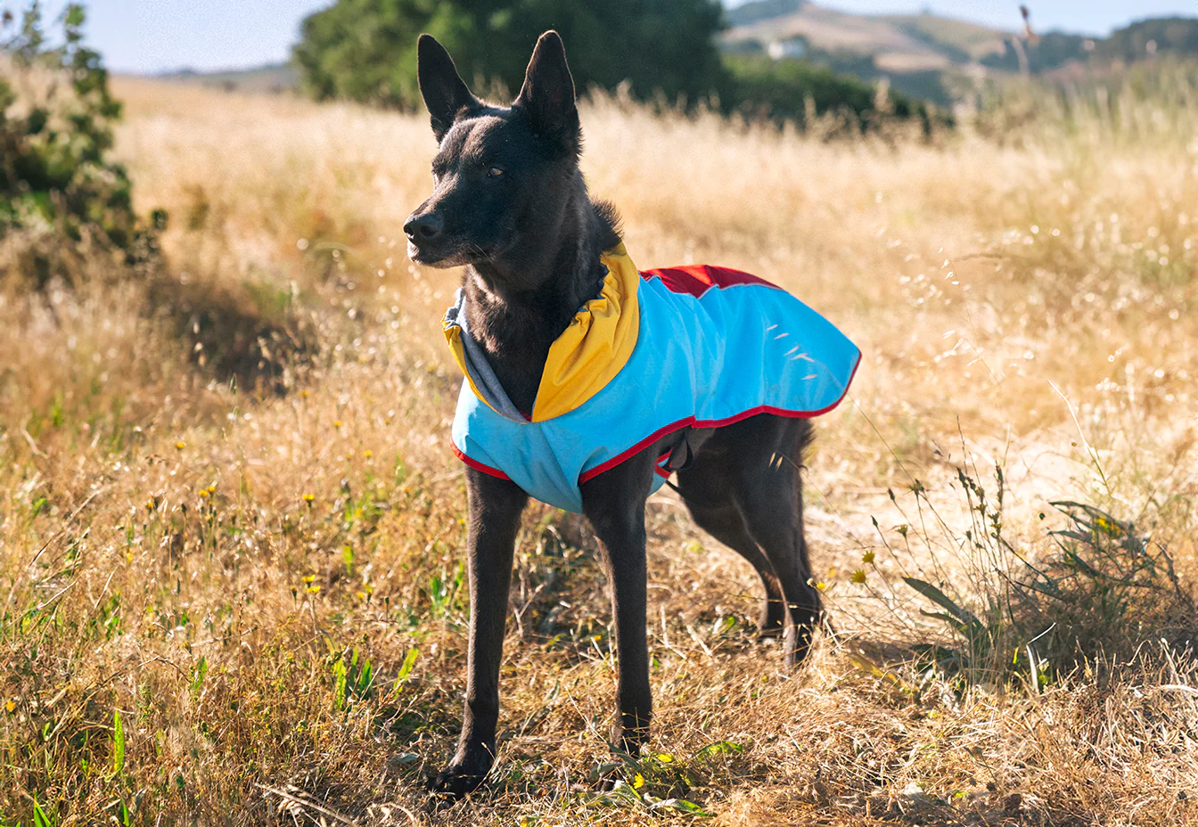 Trailblazing Coat - Image 5