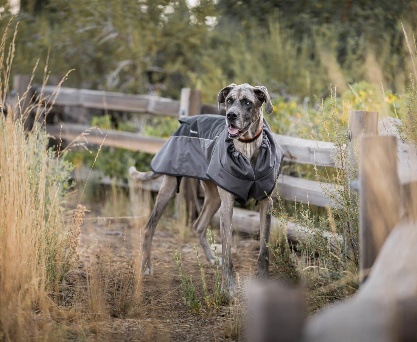 Trailblazing Coat - Image 7
