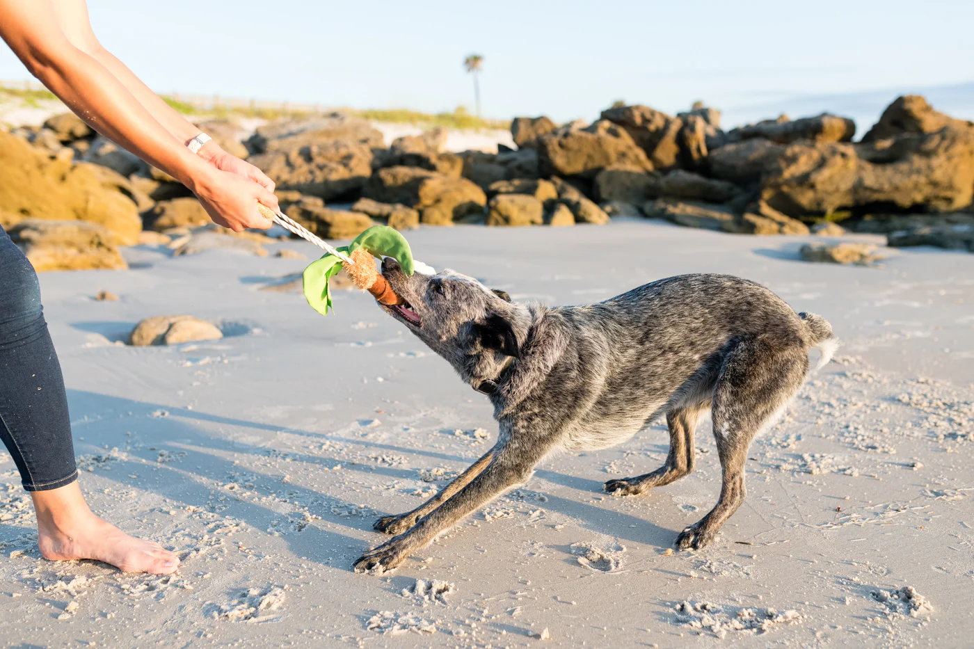 Tropical Paradise Collection - Image 14
