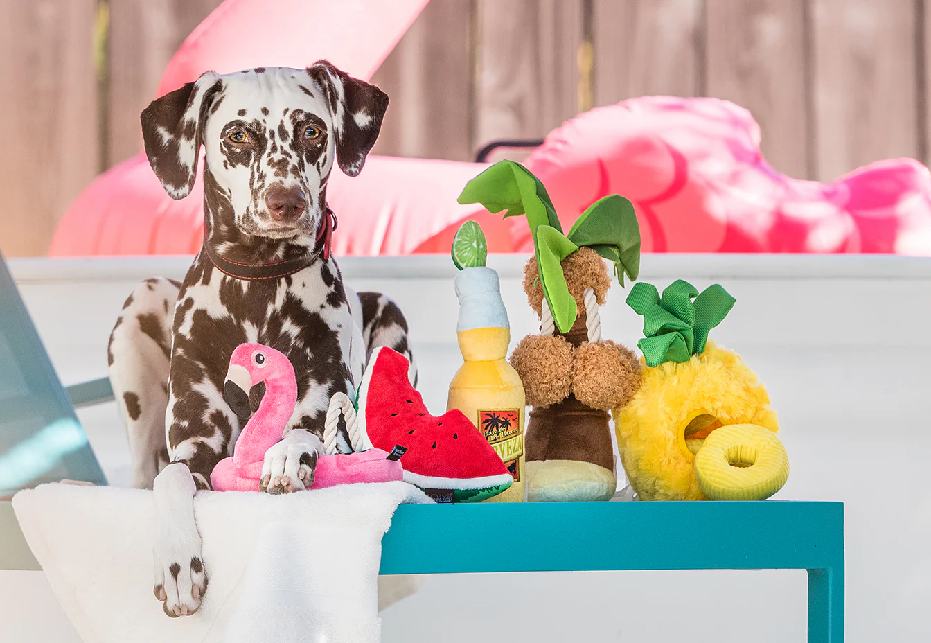 Tropical Paradise Collection - Image 2