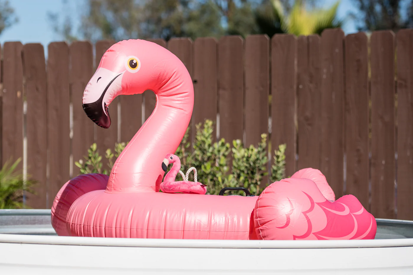 Tropical Paradise Flamingo Float - Image 3