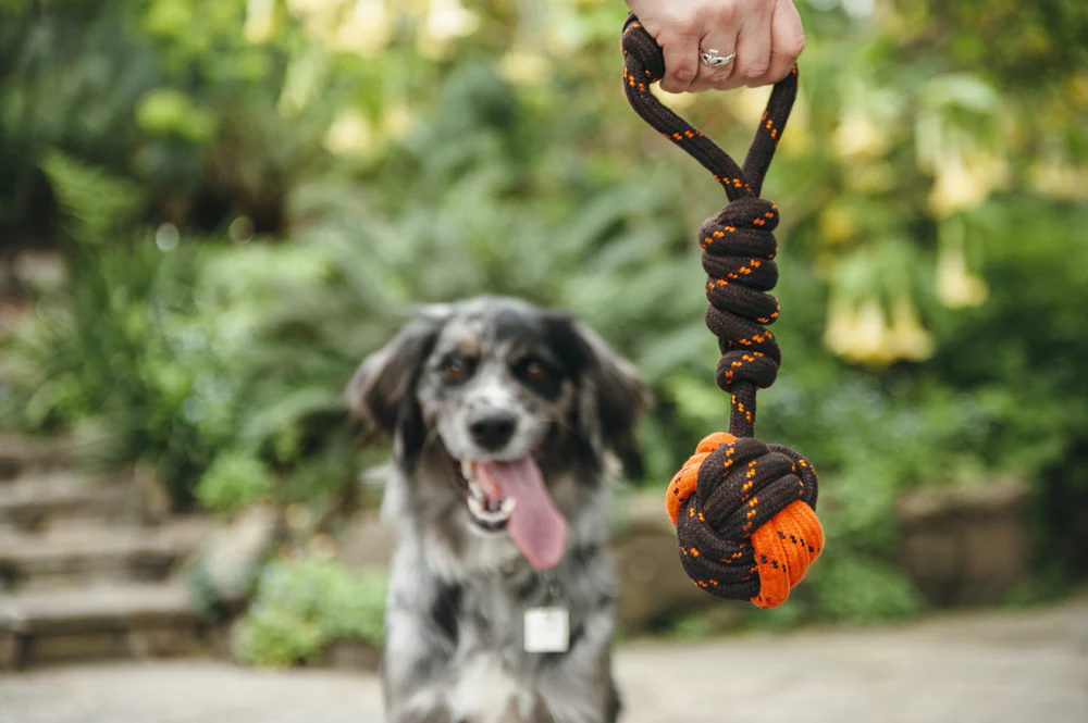 Tug Ball Rope Toy - Image 4