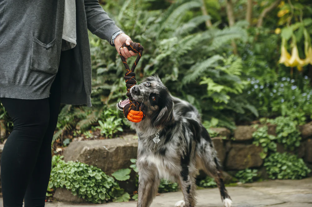 Tug Ball Rope Toy - Image 5