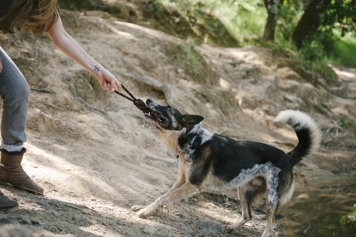 Tug Rope Toy - Image 7